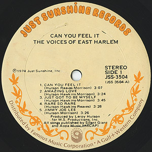 Can You Feel It(LP)