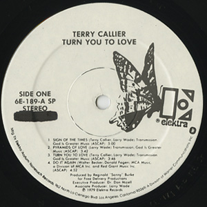 Turn You To Love(LP)