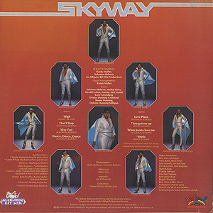 Skyy / Skyway(LP) / Salsoul 1980 USオリジナル盤 EX-/EX | Groovenut Records ...