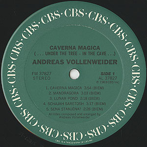 Andreas Vollenweider Caverna Magica(LP) CBS 1983 オランダオリジナル盤 | Groovenut Records SOUL JAZZ FUNK 45 DISCO HIP HOP