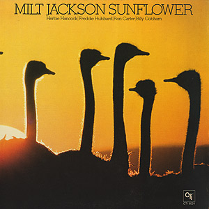Sunflower(LP)